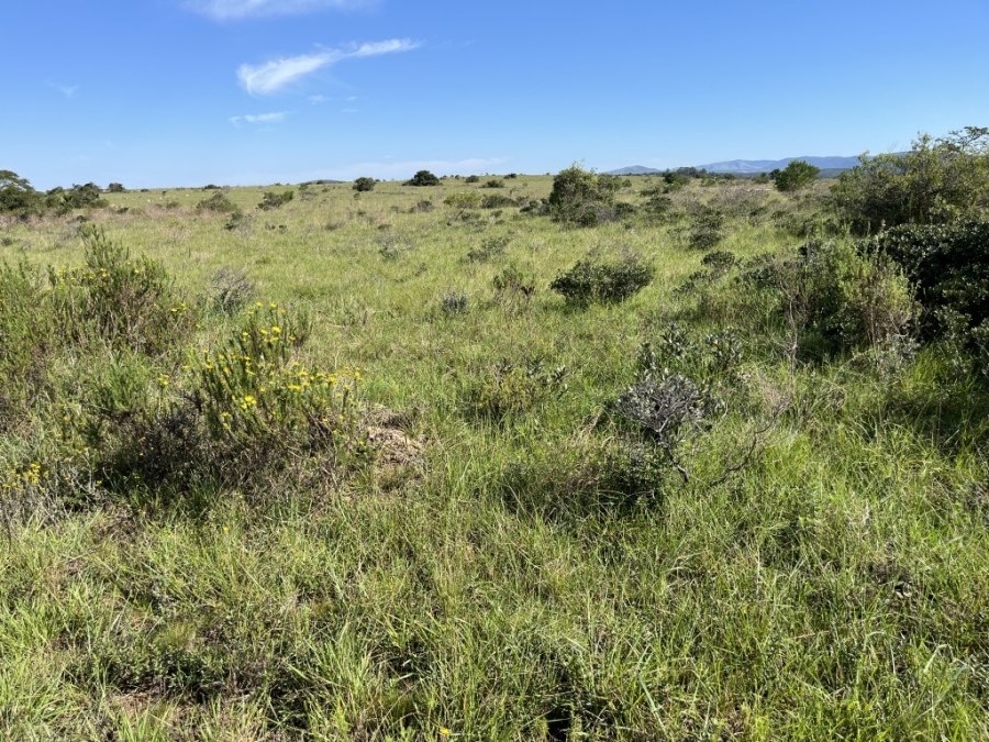 Commercial Property for Sale in Bathurst Rural Eastern Cape